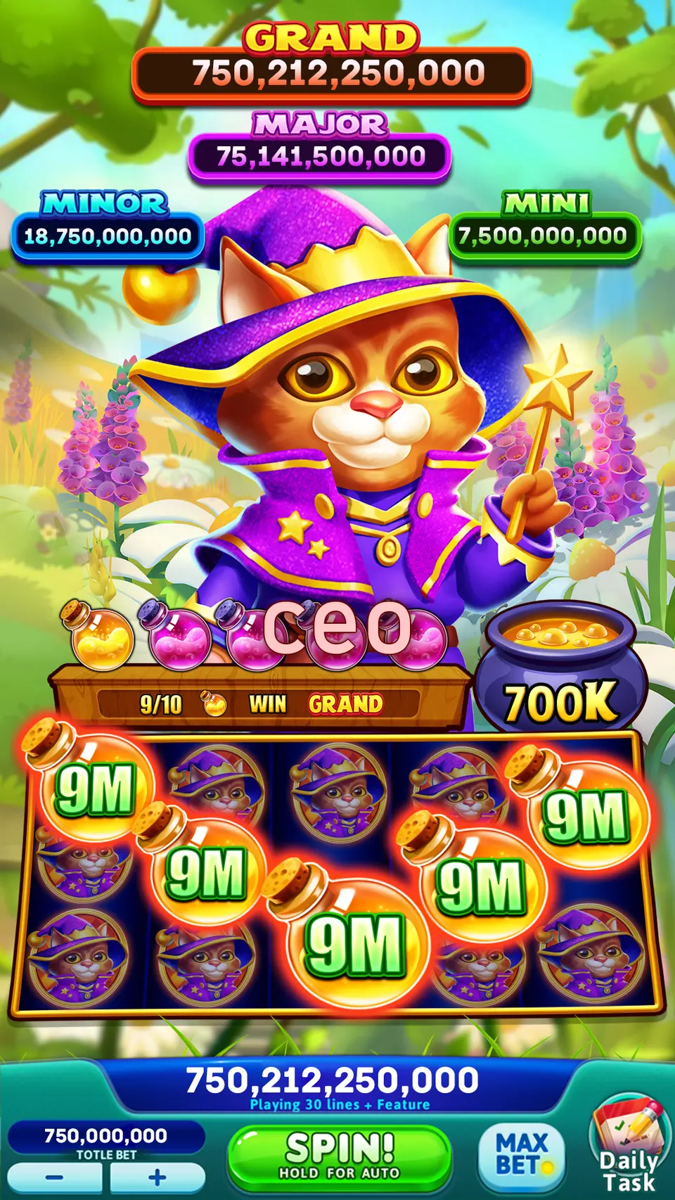 ceo লগইন